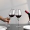 Rimmed Red Wine Glasses with Diamond Rhinestone Accent - 18 oz, 10 Inches Tall - Perfect Toasting Glasses for Bride and Groom, Great for Party, Wedding Anniversary and Special Occasion